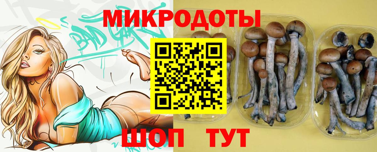 Галлюциногенные грибы мухоморы Елабуга